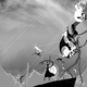 Illustration for article titled Dec. 12, 2011
